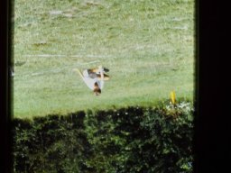 0DIA 1988 RAVAKAMP